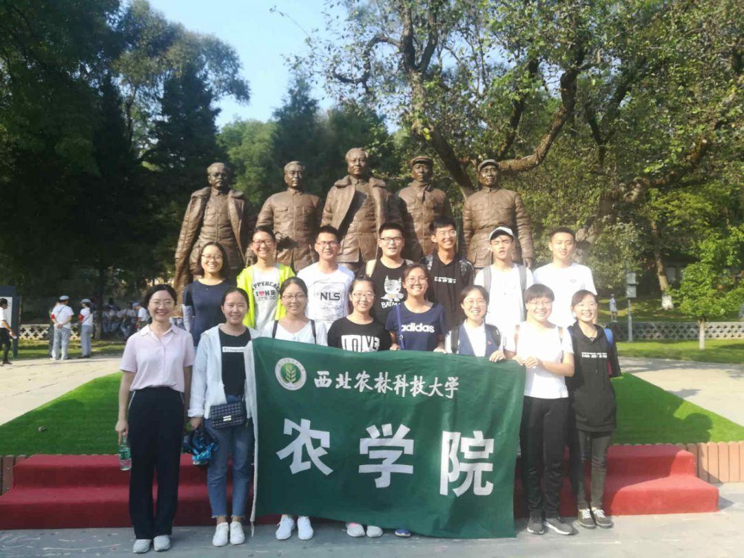 后卫营救